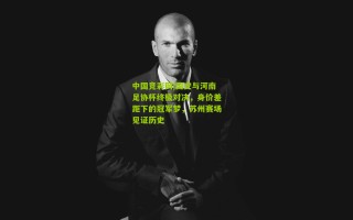 中国竞彩网|国安与河南足协杯终极对决，身价差距下的冠军梦，苏州赛场见证历史