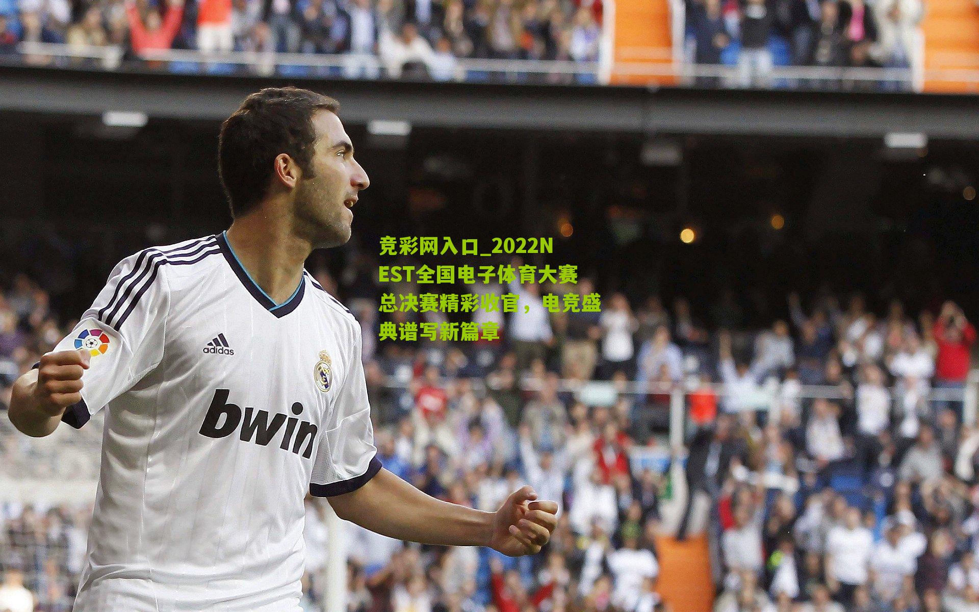 竞彩网入口_2022NEST全国电子体育大赛总决赛精彩收官，电竞盛典谱写新篇章-第1张图片-竞彩-china lottery