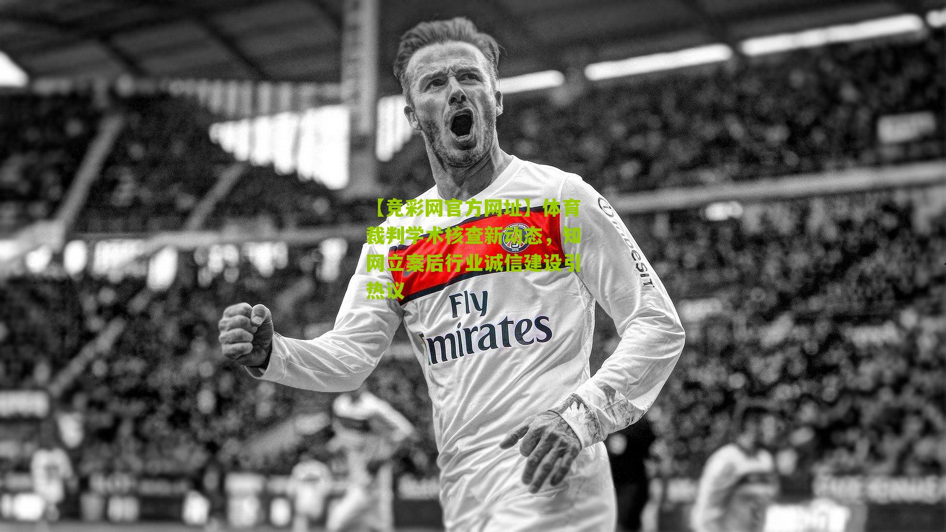 【竞彩网官方网址】体育裁判学术核查新动态，知网立案后行业诚信建设引热议-第1张图片-竞彩-china lottery